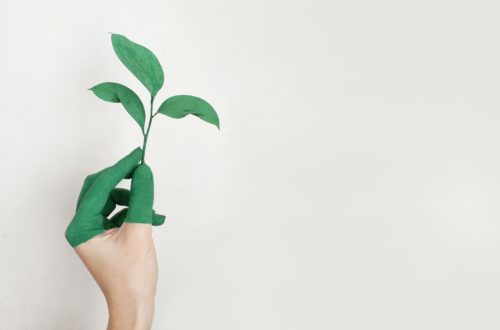 sostenibilità nel mondo-e-commerce-ambiente-moda